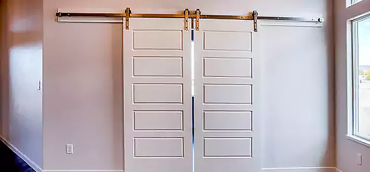 Glass Barn Door with Installation Hardware Kit Redan